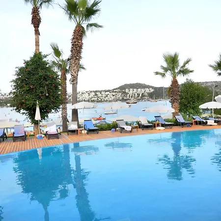 Hotel Amilla