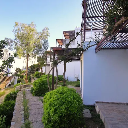 Amilla Hotel