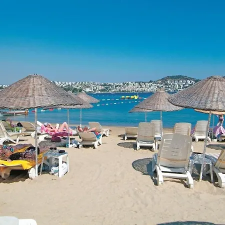 Amilla 4*