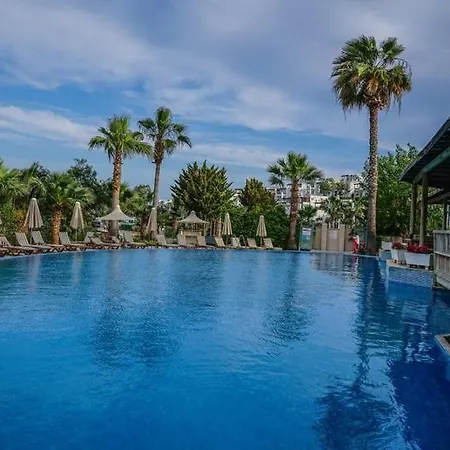 Hotel Amilla 4*