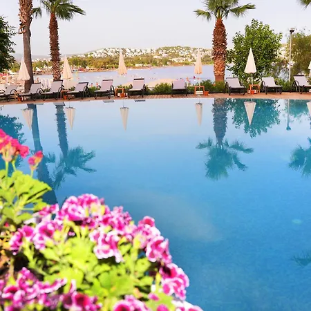 Amilla Hotel