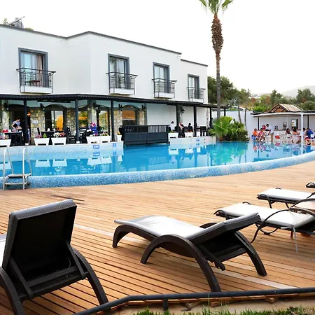 Hotel Amilla